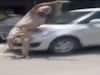 पटियाला में सिक्योरिटी चेकिंग के दौरान पुलिसकर्मी को कार से कुचलने की कोशिश | देखें चौंकाने वाला वीडियो