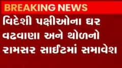 વિદેશી પક્ષીઓના ઘર સમાન વઢવાણા તળાવ અને થોળ તળાવનો રામસર સાઇટમાં સમાવેશ, જુઓ વિડીયો