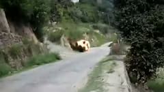 JeM's terror plan busted in J&K's Kishtwar