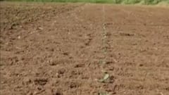 બનાસકાંઠામાં વરસાદ ખેંચાતા જગતનો તાત મુશ્કેલીમાં, સિઝનનો 28 ટકા જ વરસાદ વરસ્યો, જુઓ વિડીયો