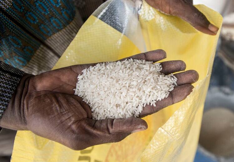 Explaining fortified rice announced by Prime Minister Narendra Modi on Independance day speech பிரதமர் மோடி அறிவித்த வலுவூட்டப்பட்ட அரிசி.. அப்படி என்றால் என்ன? அதில் என்ன சிறப்பு?