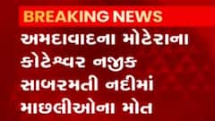 અમદાવાદઃ સાબરમતી નદીમાં છેલ્લા બે દિવસથી સતત માછલીઓના થઈ રહ્યા છે મોત,જુઓ વીડિયો