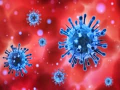 மயிலாடுதுறை: புதிதாக 34 பேருக்கு கொரோனா தொற்று! உயிரிழப்பு இல்லை!