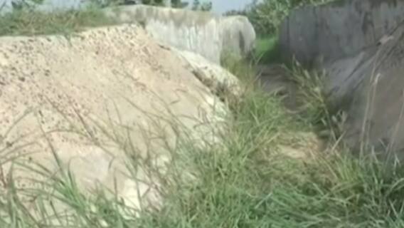 મહેસાણાઃ ખેંચાતા વરસાદે વધારી ખેડૂતોની મુશ્કેલી, કેટલી જમીનમાં થયું છે પાકનું વાવેતર?