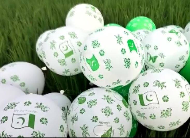 Balloons with Pakistani flag & 'I love Pakistan' imprinted on it found in punjab पंजाबमध्ये शेतात सापडले 'I Love Pakistan' लिहिलेले फुगे; पोलीस तपास सुरु