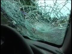 স্বাধীনতা দিবসে কল্যাণীতে বিজেপি বিধায়কের গাড়ি ভাঙচুর ঘিরে উত্তেজনা