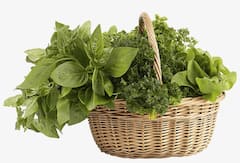 Weight Loss Tips: માત્ર આ ફૂડના સેવનથી કરો વજન ઓછું, જાણો કેવું હોવું જોઇએ આપનું ડાયટ