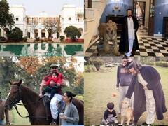 10 एकड़ में फैला है Saif Ali Khan का पटौदी पैलेस, 800 करोड़ से ज्यादा है कीमत, देखें इस आलीशान महल की Inside तस्वीरें