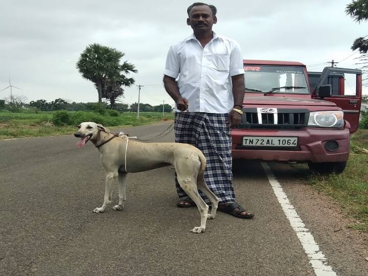 Know the history of Ethnic breed dogs of Tamil Nadu 'சங்குபட்டி நாடார் முதல் மாரிமுத்து தேவர் வரை’ இன வழி நாய்களின் வரலாறு..!