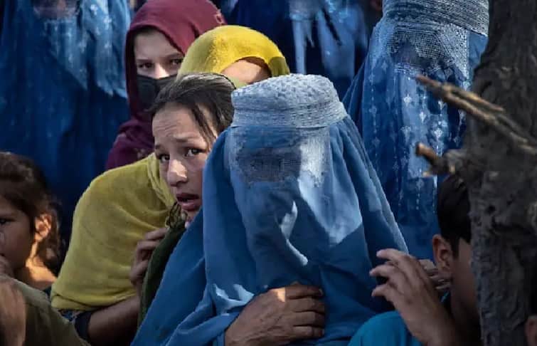 Taliban men come knocking on the doors of women judges who jailed them Afghanistan Taliban Crisis: মহিলা বিচারকদের বাড়িতে হানা দিচ্ছে তালিবান, ছাড়া পেয়েই সন্ত্রাস শুরু !