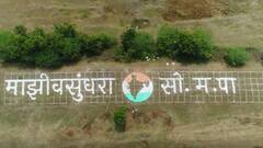 Be Positive : Solapur : एकाच दिवसात 20 हजार झाडांचं वृक्षारोपण,माझी वसुंधरा अभियानातर्फे वृक्ष लागवड