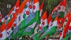 Reshuffle in TMC: তৃণমূলে সাংগঠনিক রদবদল, গুরুত্ব বাড়ল তাপস রায়ের