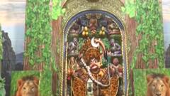 સાળંગપુર હનુમાન મંદિર ખાતે હિંડોળા દર્શનનું કરાયું આયોજન,જુઓ વીડિયો