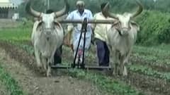 મારૂ ગામ મારી વાત: અમદાવાદનાં સાણંદના હિરાપુર ગામના લોકોની સમસ્યા, પ્રાથમિક સુવિધાની કમી