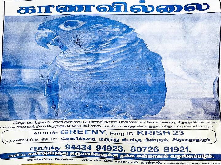 Poster sticky owner demanding to find missing parrot கிளியை கண்டுபிடித்துத்தந்தால் தக்க சன்மானம்... போஸ்டர் ஒட்டி கிளியை தேடும் நெகிழ்ச்சி சம்பவம்...!