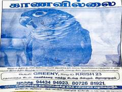 கிளியை கண்டுபிடித்துத்தந்தால் தக்க சன்மானம்... போஸ்டர் ஒட்டி கிளியை தேடும் நெகிழ்ச்சி சம்பவம்...!