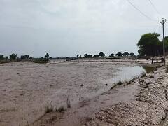 यमुना नदी का जलस्तर घटने के बाद मुसीबत में लोग, ध्वस्त हुए मकान, बढ़ा बीमारियों का खतरा