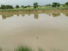 Gorakhpur: घाघरा और रोहिन खतरे के निशान के पार, राप्‍ती भी डेंजर लाइन को पार करने को आतुर