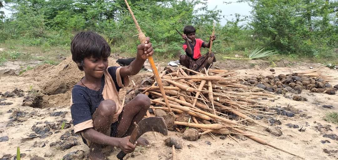 ‛பனைமரத்தை பாதுகாக்க இதை செய்யுங்க’ அரசுக்கு பனைத் தொழிலாளர்கள் வைக்கும் கோரிக்கை!