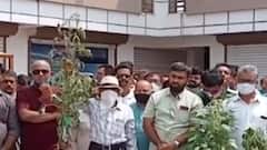 વડોદરામાં કેમિકલના કારણે પાકને નુકસાન, કરજણ-શિનોર તાલુકાનાં ખેડૂતોનું કરજણ પ્રાંત અધિકારીને આવેદન