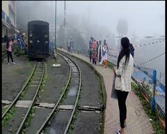 Darjeeling: মানতে হবে কোভিড-বিধি, অবশেষে চালু হল টয়ট্রেনের জয় রাইড
