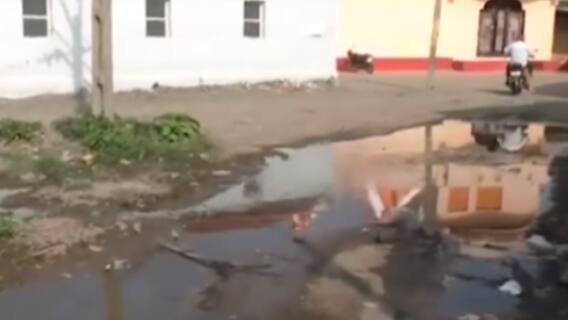 મારૂ ગામ મારી વાત: જામનગરના ઠેબા ગામના લોકોની સમસ્યા, રખડતા પશુઓથી પરેશાન સ્થાનિકો