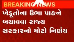 ઊભા પાકને બચાવવા માટે રાજ્ય સરકારે કર્યો મહત્વનો નિર્ણય, જુઓ વીડિયો
