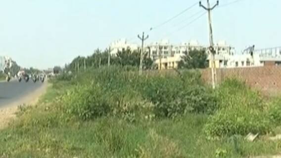 વડોદરામાં મચ્છરોનો ઉપદ્રવ વધ્યો, ડેન્ગ્યુ અને મલેરિયાના કેસમાં સતત વધારો