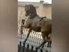 Pakistan News: पाकिस्तान में महाराजा रणजीत सिंह की मूर्ति तोड़े जाने की भारत ने की निंदा | जानें क्या कहा है?
