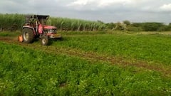 Osmanabad :योग्य भाव मिळत नसल्यानं शेतकऱ्याचा संताप, 2 एकरातील कोथिंबीरीवर फिरवला Tractor :ABP Majha