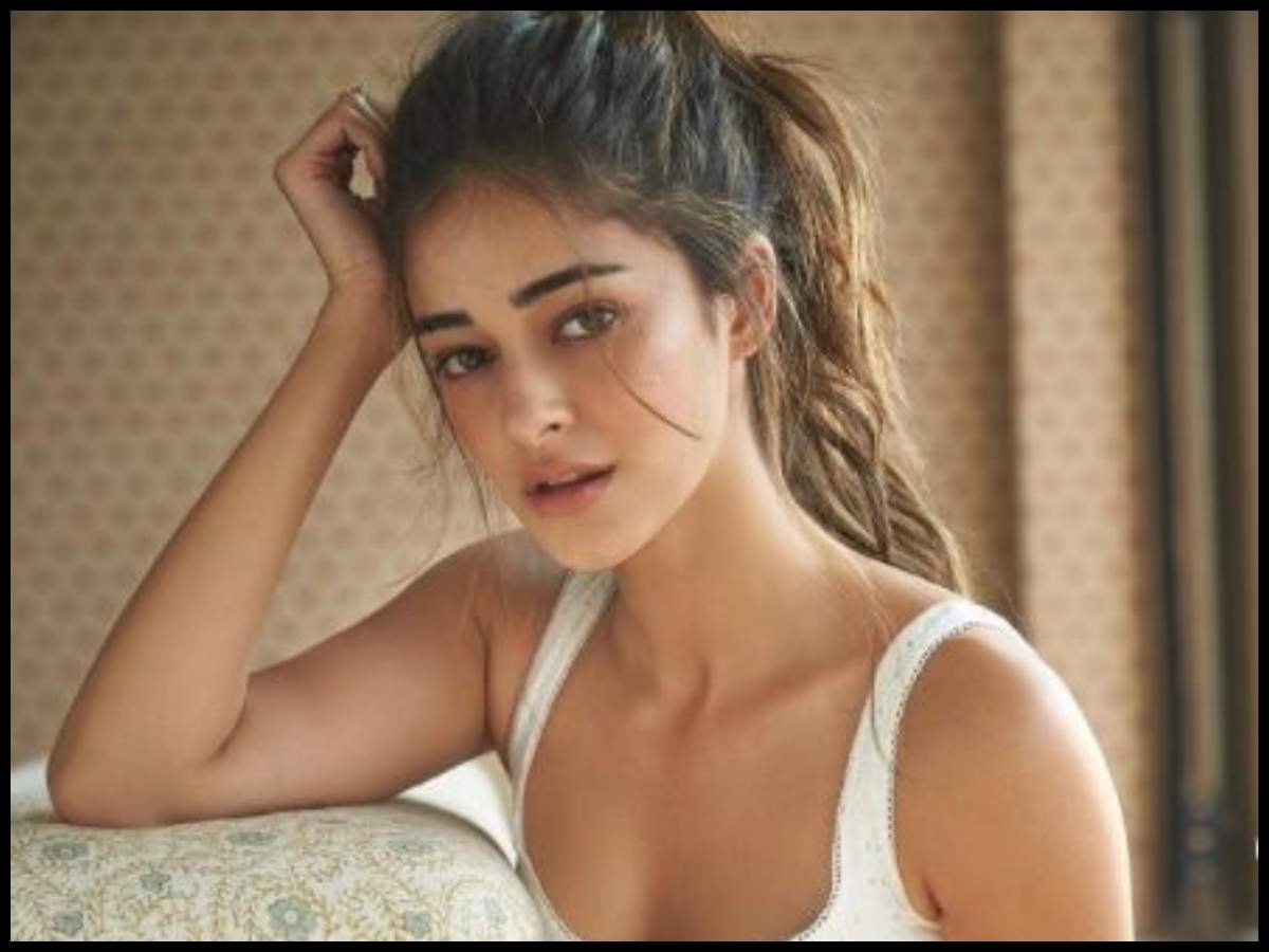 ट्रोलर ने कहा, आपका नाम फेक पांडे होना चाहिए, जानिए Ananya Panday ने क्या दिया जवाब?