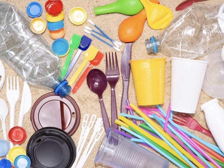 Ban Single Use Plastic: ब्रिटेन में Single Use प्लास्टिक की थालियों और छुरी-कांटो पर प्रतिबंध लगाने की योजना