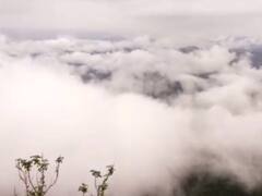 In Pics : महाराष्ट्रात अवतरलं 'काश्मीर'सारखं सौंदर्य! आंबोलीतील नयनरम्य नजारा, आंबोली घाटात ढगांची चादर