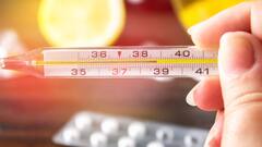 Fever Treatment: ਬਗੈਰ ਦਵਾਈ ਬੁਖਾਰ ਦਾ ਇਲਾਜ, ਘਰ 'ਚ ਹੀ ਅਜਮਾਓ ਇਹ 5 ਨੁਸਖੇ