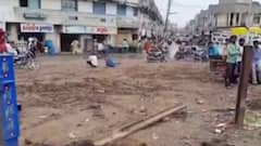 અમરેલીઃ રેલવેની જમીન પર કોઈએ હટાવ્યા બેરિકેટ, પોલીસે તપાસ કરી શરૂ, જુઓ વીડિયો