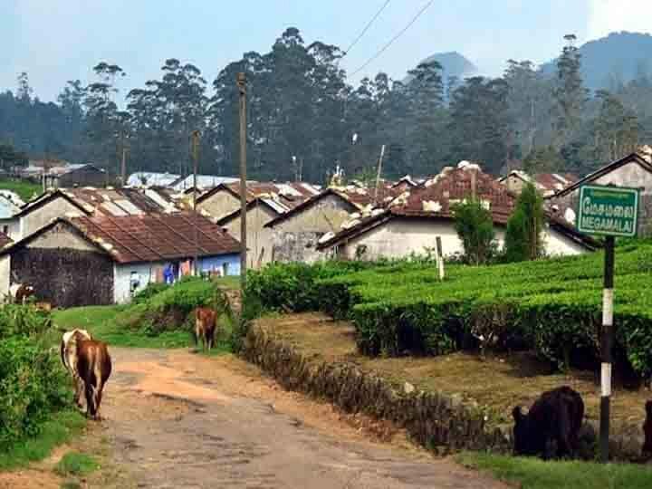 மேகமலை, வருசநாடு வனப்பகுதிகளில் விவசாயம் செய்ய தடையால் வாழ்வாதாரம் இழக்கும் 6000 குடும்பங்கள்...!