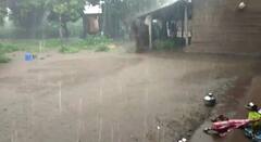 Maharashtra Rain Update : पुढील दोन दिवस महाराष्ट्रात सर्वदूर पावसाची शक्यता