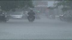 Maharashtra Monsoon: विदर्भातील अनेक जिल्ह्यांत पावसाची दमदार हजेरी, भातलावणीसह शेतीच्या कामांना वेग