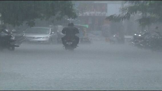 Maharashtra Monsoon: विदर्भातील अनेक जिल्ह्यांत पावसाची दमदार हजेरी, भातलावणीसह शेतीच्या कामांना वेग