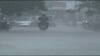 Maharashtra Monsoon: विदर्भातील अनेक जिल्ह्यांत पावसाची दमदार हजेरी, भातलावणीसह शेतीच्या कामांना वेग