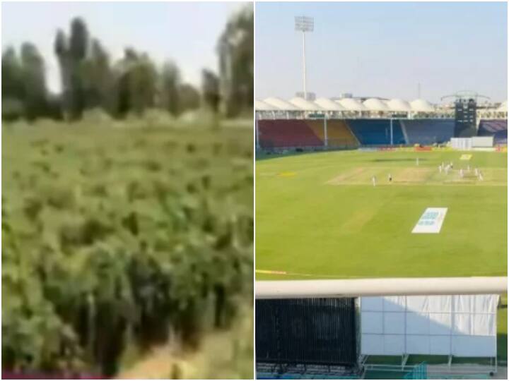Cricket Stadium In Pakistan Now Being Used To Grow Chillies & Pumpkins - Watch Video Cricket Stadium In Pakistan Now Being Used To Grow Chillies & Pumpkins - Watch Video