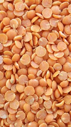 ડાયટિંગમાં દાળનું સેવન કરવા પહેલા, આ જાણો