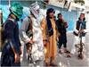 Panjshir : Taliban विरोधात नॉर्दर्न अलायन्स, तालिबान्यांना जिंकण्यास कठीण पंजशीरचा किल्ला