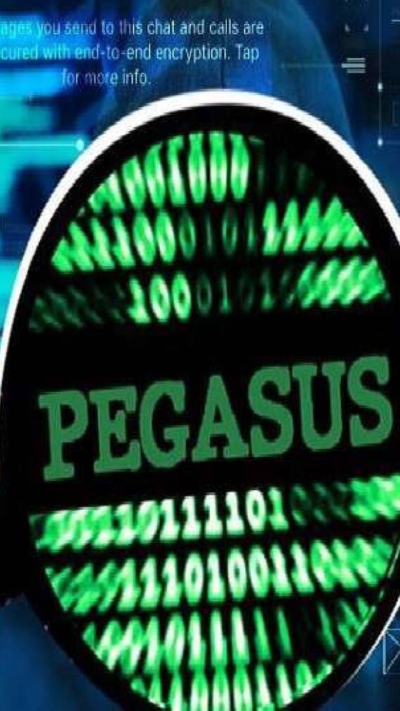 ਪੈਗਾਸਸ ਸੌਫਟਵੇਅਰ ਕੀ ਹੈ?