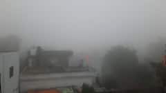 Web Exclusive : Buldhana : महाराष्ट्रातील शिमल्यात दाट धुक्याची चादर ABP Majha