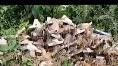 પંચમહાલઃ આ ગામમાં શૌચાલયની યોજનામાં ગેરરિતી થઈ હોવાનો લાગ્યા આરોપ,જુઓ વીડિયો