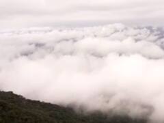 In Pics : महाराष्ट्रात अवतरलं 'काश्मीर'सारखं सौंदर्य! आंबोलीतील नयनरम्य नजारा, आंबोली घाटात ढगांची चादर