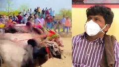 Sangli Bullock cart race : पोलिसांच्या विरोधानंतरही बैलगाडा शर्यत होणार : Gopichand Padalkar