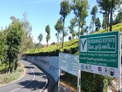தீவிரமடையும் கோடநாடு வழக்கு: விசாரணையில் ஜெயலலிதா டிரைவரின் அண்ணன் கூறியது என்ன?