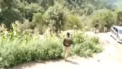 Rajouri Encounter: Security Forces gun down one terrorist in Thanamandi